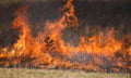 Extreme weather to impact businesses - executives