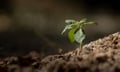 Intact increases climate resiliency grants to $3.1 million