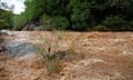 Toronto flash floods drive nearly $1 billion in insured losses - IBC