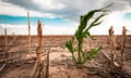 Climate change made Canada's 2024 heat waves up to 10 times more likely: ECCC