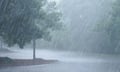 Record Ottawa rainfall drives $439 million storm claims