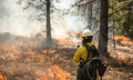 Westland releases wildfire preparedness and recovery guide