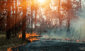 Wildfires in Northern Saskatchewan estimated to cost at least $500 million