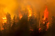 Record cat losses put wildfire resilience back in the spotlight, IBC says