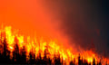Jasper wildfire recovery exposes deep insurance gap as rebuild drags into second year
