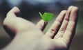 Nippon Life launches nature-focused corporate impact framework