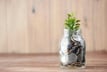 Indian life insurers’ new business premiums climb on strong demand