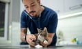 SCPI issues pet ownership tips for insurance clients