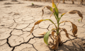 Reinsurer warns of rising insurance costs