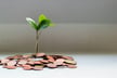 AIA NZ spotlights milestones and new sustainability initiatives