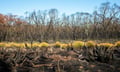 Insurers return to the same three Victorian towns - what's changed since May
