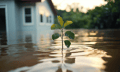 Extreme weather fuels insurance affordability stress