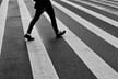 Pedestrian and wildlife incidents rise in South Australia