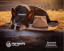 WFI spotlights farm safety as fatalities hit two-decade high