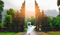 Rabies insurance claims climb as Aussies flock back to Bali