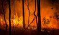 Bushfire season no longer waits for summer, but Australians do