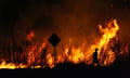 Half the home insurance market now prices bushfire mitigation