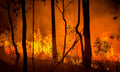 Victoria bushfires expose commercial lines concentration