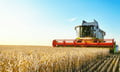 Aggregate improvement, concentrated deterioration: what WFI’s farm data reveals