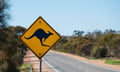 Victorian wildlife write-offs signal a mispriced risk in suburban motor books
