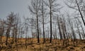 Record El Niño arrives as reinsurance pricing hits cycle lows