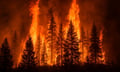 Guy Carpenter summit spotlights wildfire risk and insurance disruption in California