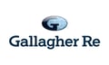 Gallagher Re names Everest veteran as VP in facultative push