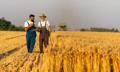 Crop insurance agency pushes 25-year renewal