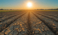 Swiss Re scales parametric agri solutions