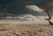 Swiss Re Institute warns heat is changing catastrophe risk