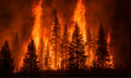 Guy Carpenter summit spotlights wildfire risk and insurance disruption in California