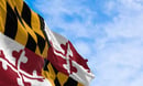 Maryland regulators spank fledgling art-focused RIA Masterworks over registration snafus