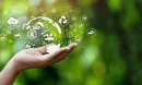 Clean, green, sustainable becoming dirty words for S&P 500 firms