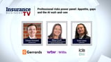 Professional indemnity: new opportunities, AI wordings and insurer appetite