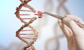 Gene therapy co-pays block access but save little, authors argue