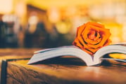 Social Security rules for the twice-widowed client
