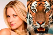 The lady or the tiger? Goldman likes stocks, Morgan Stanley senses danger