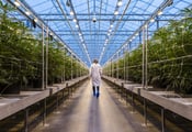 BlackRock invests in pot stock