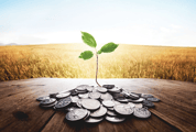 Fidelity, Dynasty back new tech-powered ESG asset manager