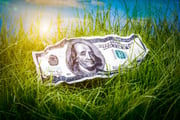 Markets are putting a price on climate risks