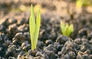 Calamos plans ESG fund named after NBA star