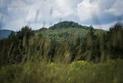 Sustainable investing that goes beyond divestment or engagement does most