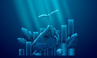 Impact investing platforms: Comparing TAMPs with built-in solutions for RIAs