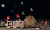 US bitcoin ETFs post record one-day outflows