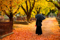 Why widows ditch their advisers