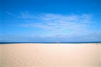 Gold standard? Why not a sand standard, Edelman asks