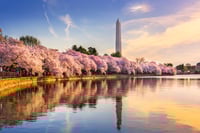 Sweeping retirement legislation is likely coming soon