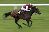 Don't bet your retirement on a fake track record