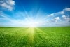 The bullish outlook for 2016