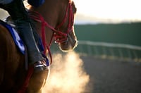 Secrets to growth: The difference between a racehorse and a pack mule